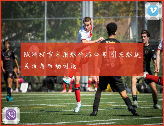 欧洲杯官方用球价格公布 引发球迷关注与市场讨论
