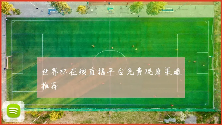 世界杯在线直播平台免费观看渠道推荐