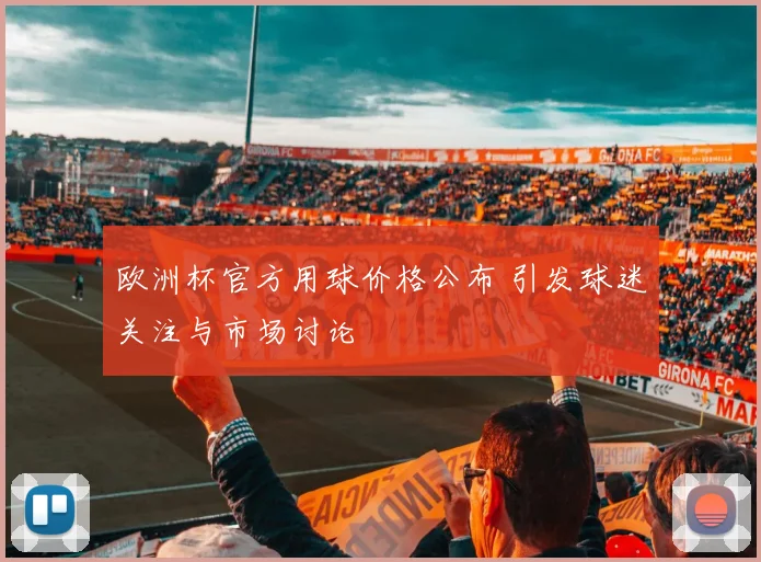 欧洲杯官方用球价格公布 引发球迷关注与市场讨论