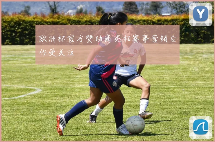 欧洲杯官方赞助商亮相赛事营销合作受关注