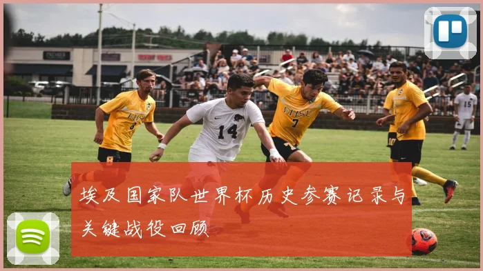 埃及国家队世界杯历史参赛记录与关键战役回顾