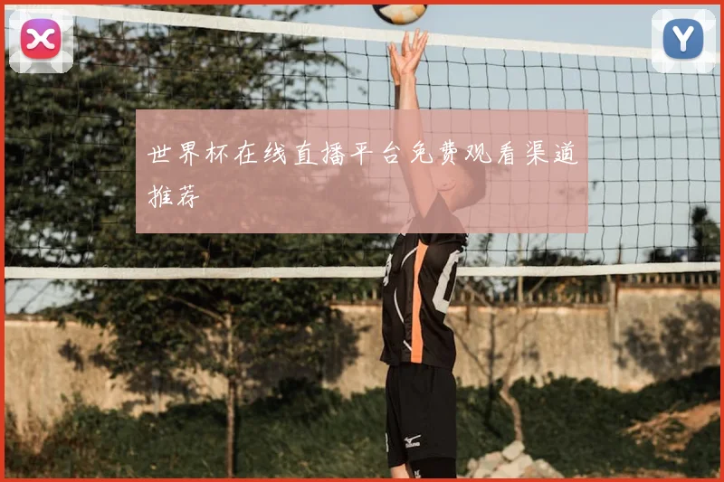 世界杯在线直播平台免费观看渠道推荐