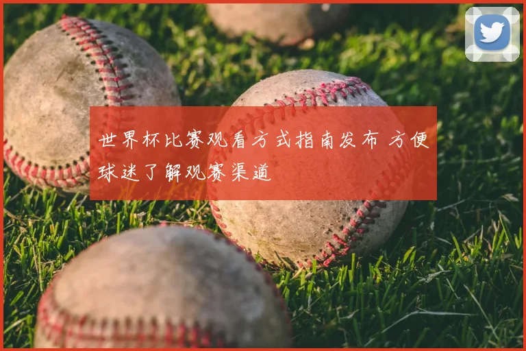 世界杯比赛观看方式指南发布 方便球迷了解观赛渠道